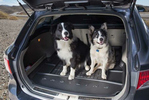 Volkswagen Passat B8 Variant(2014-)Pro-Line magasperemű csomagtértálca (FROGUM-TM404366)