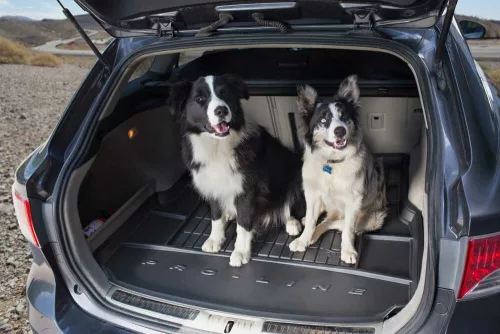 Hyundai IONIQ Hybrid ( 2016-2019 ) Pro-Line magasperemű Frogum méretpontos csomagtértálca (FROG